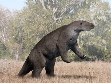 giantslot|Megatherium .